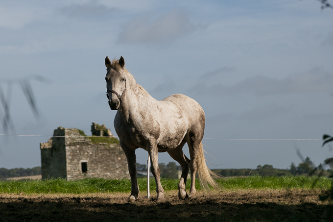 Ireland Sept 2016 (36)